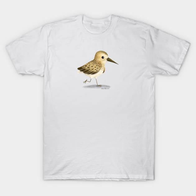 Sandpiper Bird T-Shirt by julianamotzko